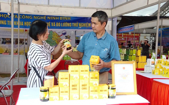Ninh Bình: Thương mại, dịch vụ 9 tháng đầu năm tăng trưởng cao