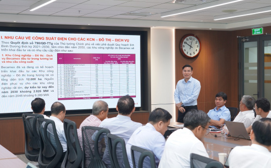 Đảm bảo cung cấp điện cho các khu công nghiệp của Becamex là trách nhiệm của EVNHCMC vì sự phát triển chung của thành phố