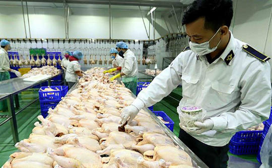 Hà Nội siết quản lý, xử lý nghiêm vi phạm để bảo đảm an toàn thực phẩm đến năm 2030