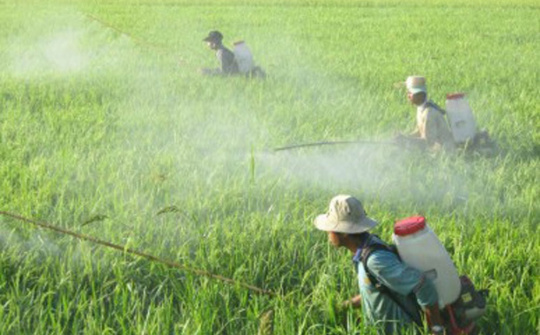 Đề xuất Danh mục thuốc bảo vệ thực vật được phép sử dụng, cấm sử dụng tại Việt Nam