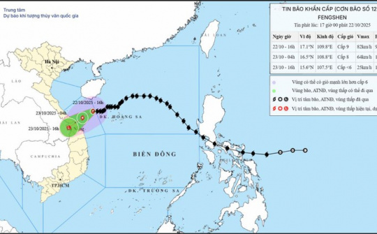 Thủ tướng chỉ đạo đình hoãn các cuộc họp không cấp bách để ứng phó bão, mưa lũ, ngập lụt