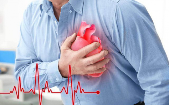 Nghiên cứu và ứng dụng mô hình học máy chẩn đoán bệnh tim mạch từ dữ liệu lâm sàng
