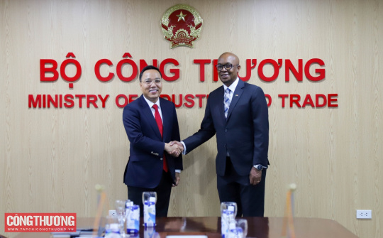 Thúc đẩy hợp tác, đàm phán nhằm phát triển quan hệ thương mại Việt Nam - Nam Phi