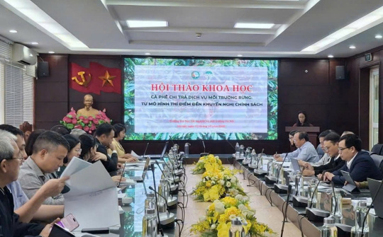 Chuyển đổi chuỗi giá trị cà phê: Thúc đẩy chi trả dịch vụ môi trường rừng và phát triển bền vững