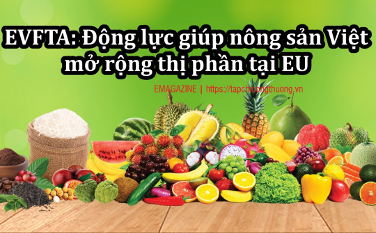 [eMagazine] EVFTA: Động lực giúp nông sản Việt mở rộng thị phần tại EU