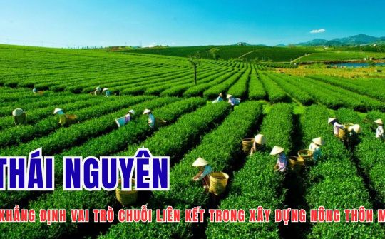 Thái Nguyên khẳng định vai trò chuỗi liên kết trong xây dựng nông thôn mới
