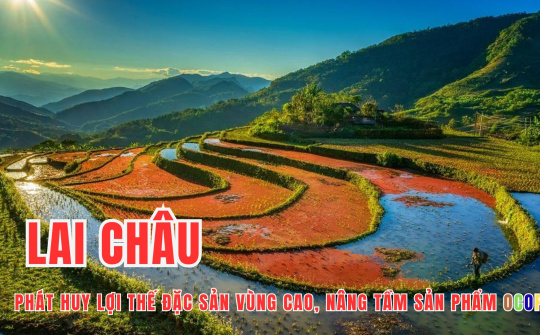 Lai Châu phát huy lợi thế đặc sản vùng cao, nâng tầm sản phẩm OCOP