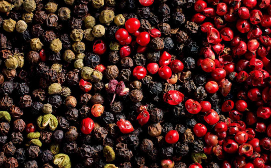 Giá tiêu hôm nay 31/10: Giá chững lại sau giai đoạn tăng mạnh, kỳ vọng phục hồi vào cuối năm