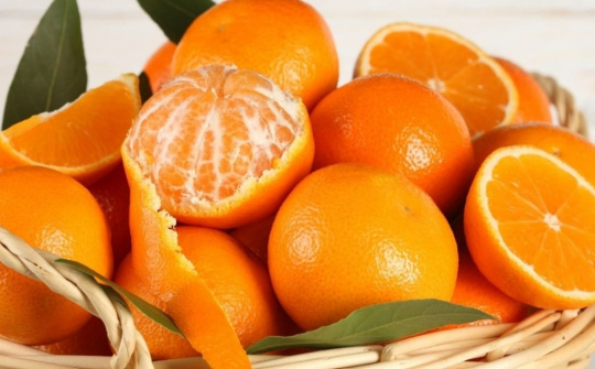 Tạo kiềm hữu cơ từ vỏ cây họ cam (Citrus spp) - tiềm năng ứng dụng trong sản xuất xanh và phát triển bền vững