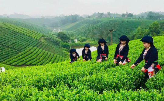 La Bằng: Phát triển du lịch cộng đồng gắn với trải nghiệm giúp người dân tạo thêm sinh kế thoát nghèo