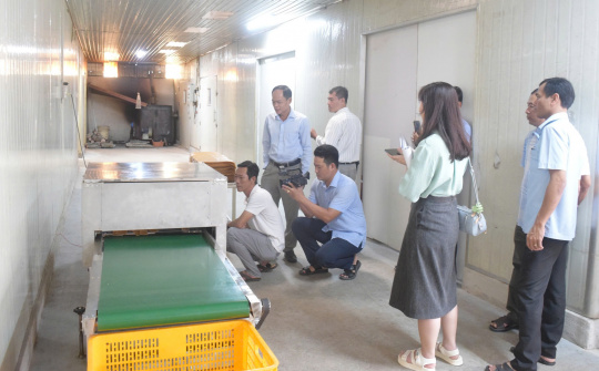 Cà Mau ban hành Chương trình Khuyến công giai đoạn 2026–2030: Thúc đẩy công nghiệp nông thôn phát triển bền vững