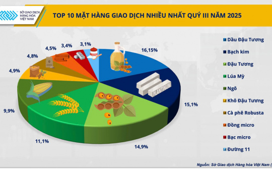 Thị phần môi giới hàng hóa: Ổn định ở top đỉnh, sôi động ở đường đua phía sau