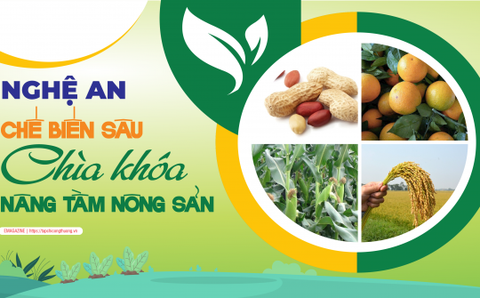 Nghệ An: Chế biến sâu chìa khóa nâng tầm nông sản