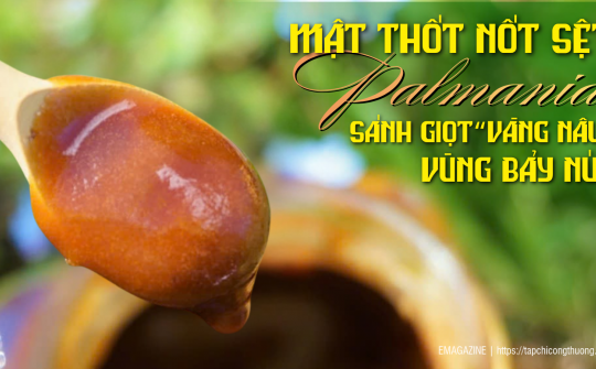 [eMagazine] Mật thốt nốt sệt Palmania - Sánh giọt “vàng nâu” vùng Bảy Núi