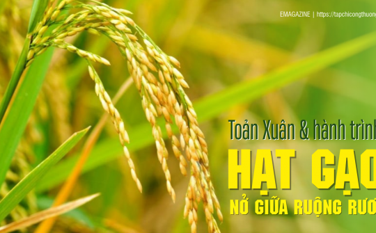 [eMagazine] Toản Xuân và hành trình “Hạt gạo nở giữa ruộng rươi”