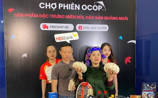 Quảng Ngãi: Phát triển thương mại điện tử trở thành lĩnh vực tiên phong, thúc đẩy phát triển kinh tế số