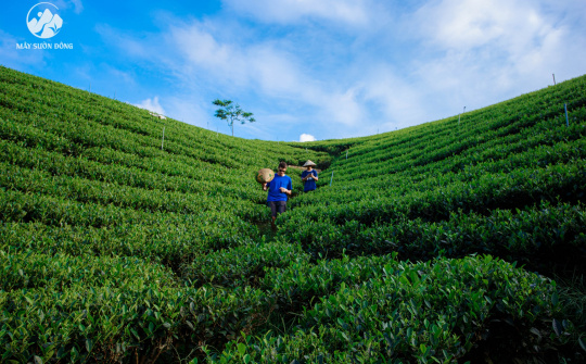 Thái Nguyên: Phân bổ hơn 270 tỷ đồng cho công tác giảm nghèo