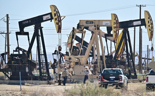 Giá xăng dầu hôm nay 13/11: OPEC dự báo thị trường không thiếu dầu trong năm sau