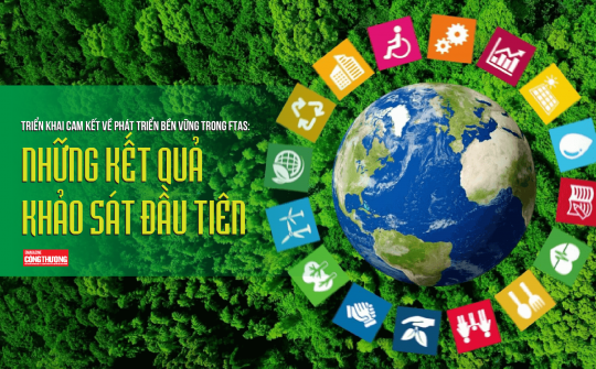 [eMagazine] Triển khai cam kết về phát triển bền vững trong FTAs: Những kết quả khảo sát đầu tiên