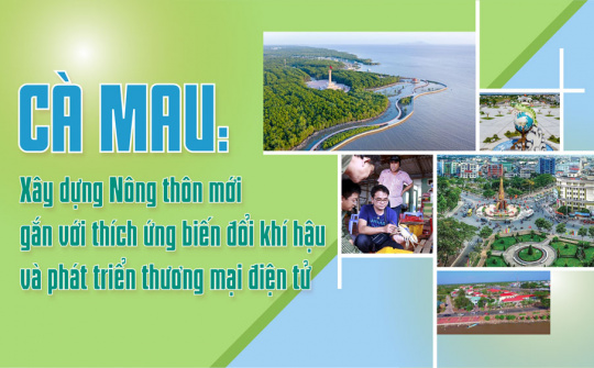 Cà Mau: Xây dựng NTM gắn với thích ứng biến đổi khí hậu và phát triển thương mại điện tử