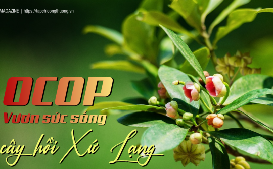 [eMagazine] OCOP - Vươn sức sống cây hồi Xứ Lạng