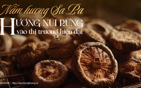 [eMagazine] Nấm hương Sa Pa: Hương núi vào thị trường hiện đại