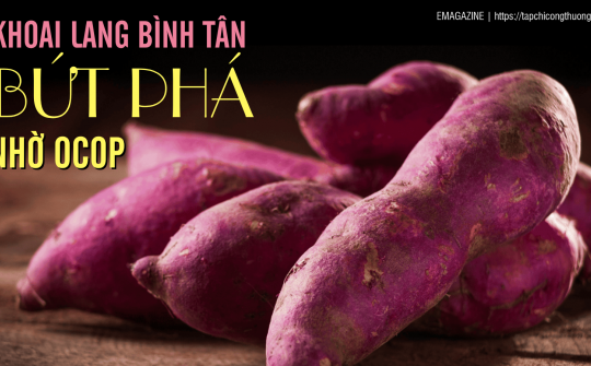 [eMagazine] Khoai lang Bình Tân bứt phá nhờ OCOP