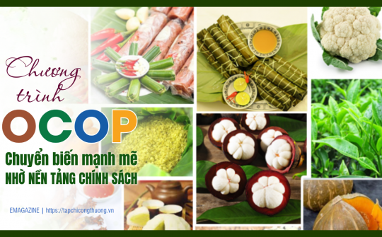 [eMagazine] Chương trình OCOP: Chuyển biến mạnh mẽ nhờ nền tảng chính sách