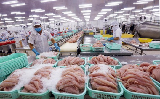 Thực trạng xuất khẩu thủy sản mã HS 03 của Việt Nam