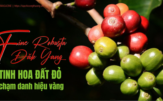 [eMagazine] Fine Robusta Đăk Yang - Tinh hoa đất đỏ chạm danh hiệu vàng