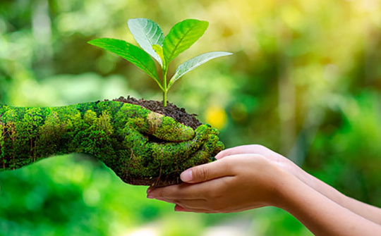 Ảnh hưởng của đổi mới xanh đến hiệu quả hoạt động kinh doanh của các công ty cổ phần Logistics tại Thành phố Hồ Chí Minh