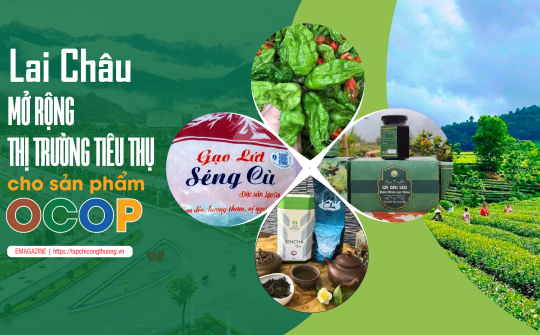 Lai Châu mở rộng thị trường tiêu thụ cho sản phẩm OCOP