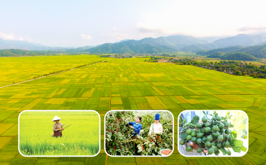 Ngành Công Thương Điện Biên khởi động Chương trình hành động sau Đại hội XV