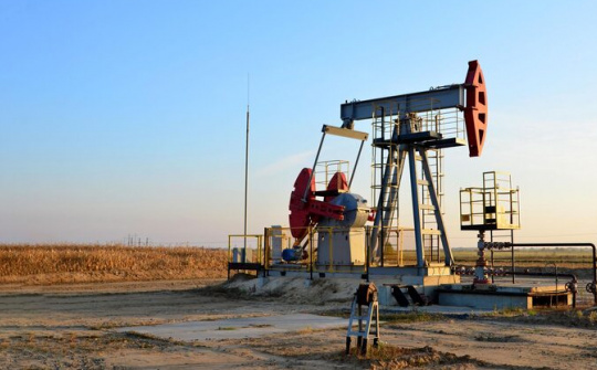 Giá xăng dầu hôm nay 29/11: Thị trường thận trọng theo dõi quyết định sản lượng của OPEC+