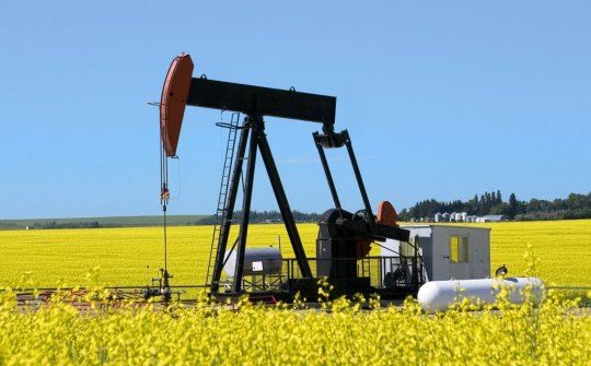 Giá xăng dầu hôm nay 3/11: OPEC+ ngừng tăng sản lượng trong quý I/2026