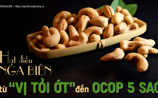 Hạt điều Nga Biên: Từ “Vị tỏi ớt” đến OCOP 5 sao