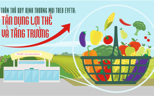 [eMagazine] Tuân thủ quy định thương mại theo EVFTA: Tận dụng lợi thế và tăng trưởng