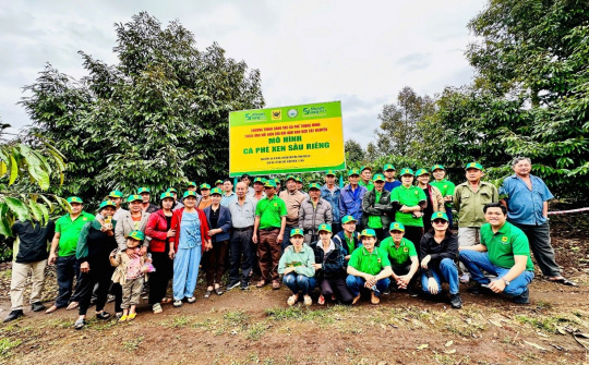 Cà phê Việt Nam trước biến đổi khí hậu: Thách thức và giải pháp thích ứng