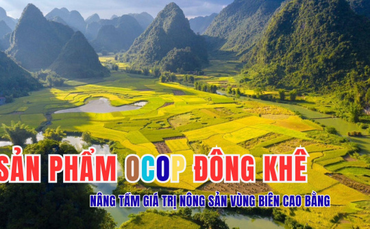 Sản phẩm OCOP Đông Khê - Nâng tầm giá trị nông sản vùng biên Cao Bằng