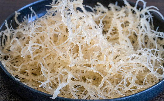 Ảnh hưởng của chế độ thanh trùng đến chất lượng sản phẩm nước uống rong sụn bổ sung đông trùng hạ thảo