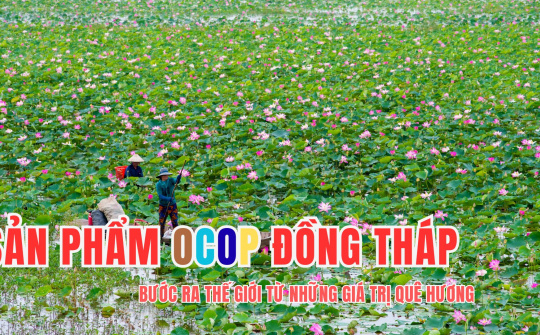 Sản phẩm OCOP Đồng Tháp: Bước ra thế giới từ những giá trị quê hương