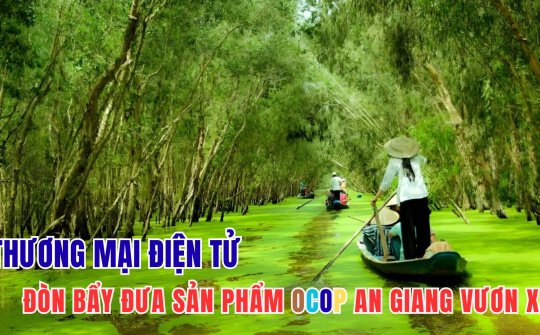 Thương mại điện tử - đòn bẩy đưa sản phẩm OCOP An Giang vươn xa