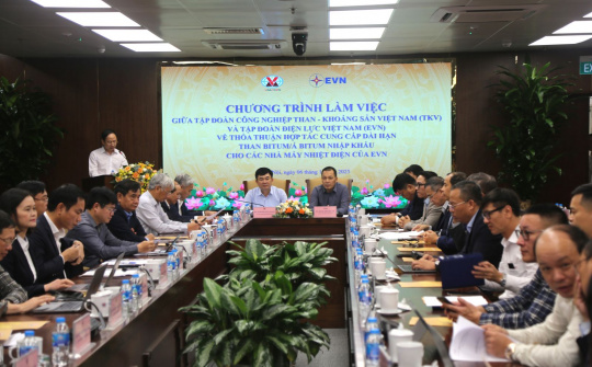 TKV: Hợp tác cung cấp dài hạn than nhập khẩu cho nhà máy nhiệt điện của EVN