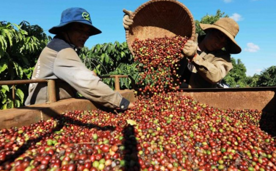 Điện Biên tái cơ cấu nông nghiệp, xây dựng nông thôn mới nâng cao theo tinh thần Đại hội XV Đảng bộ tỉnh