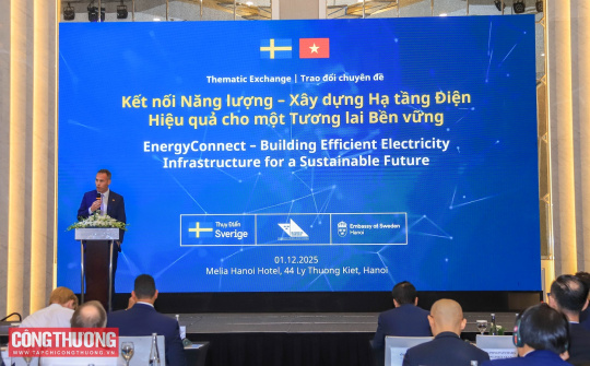 Thụy Điển đề xuất các giải pháp xây dựng hạ tầng điện hiệu quả tại Việt Nam