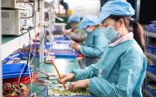 Thành lập và tổ chức hoạt động của doanh nghiệp tư nhân theo quy định của pháp luật Việt Nam