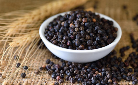 Giá tiêu hôm nay 11/12: Tăng nhẹ, dự báo duy trì đà tăng trong ngắn hạn