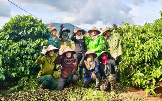 Gia Lai: Xây dựng nông thôn mới gắn với thúc đẩy phát triển công nghiệp nông thôn