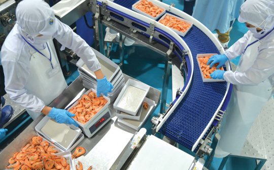 Chiến lược xanh và những ảnh hưởng đến hiệu quả xuất khẩu của doanh nghiệp thủy sản