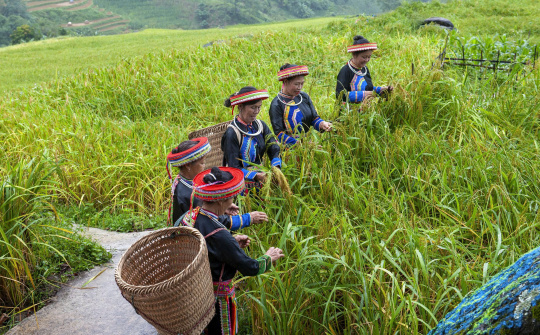 Thái Nguyên sau sáp nhập: Phát huy vai trò truyền thông chính sách để giảm nghèo hiệu quả
